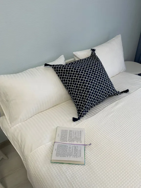 Квартира Квартира Уютная студия рядом с НИИ Петрова — Песочный