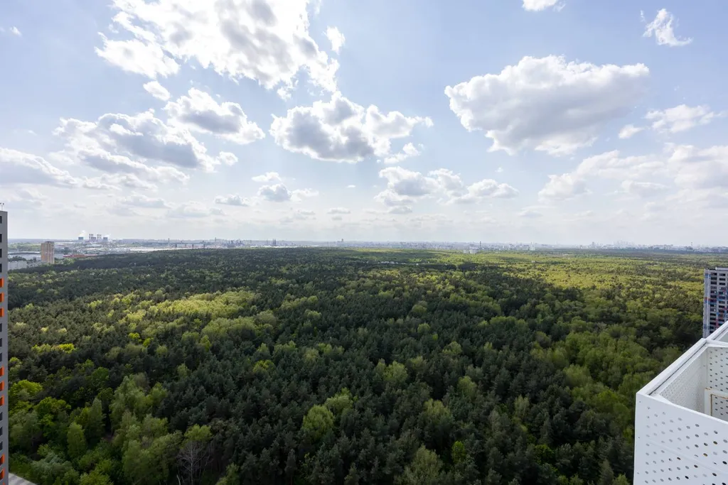Квартира Квартира с видом на лес — Котельники