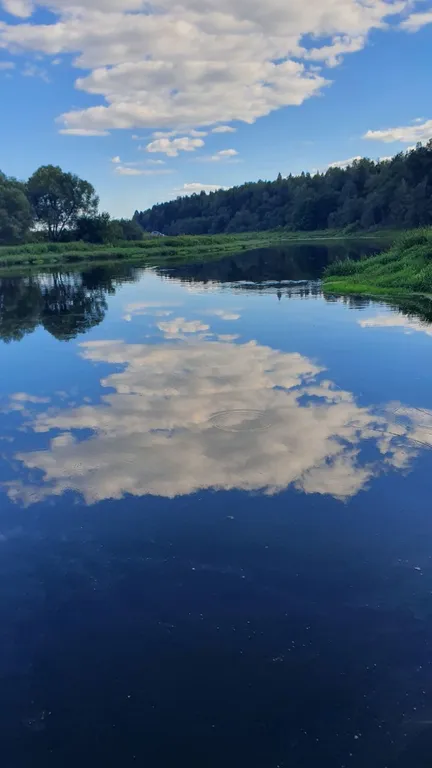 Уютный дом в лесу рядом с речкой