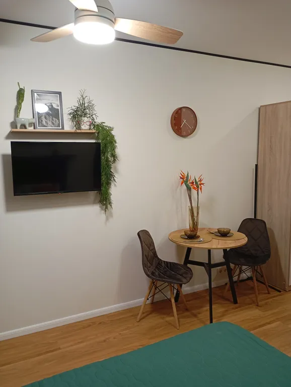 Уютная дизайнерская квартира-студия