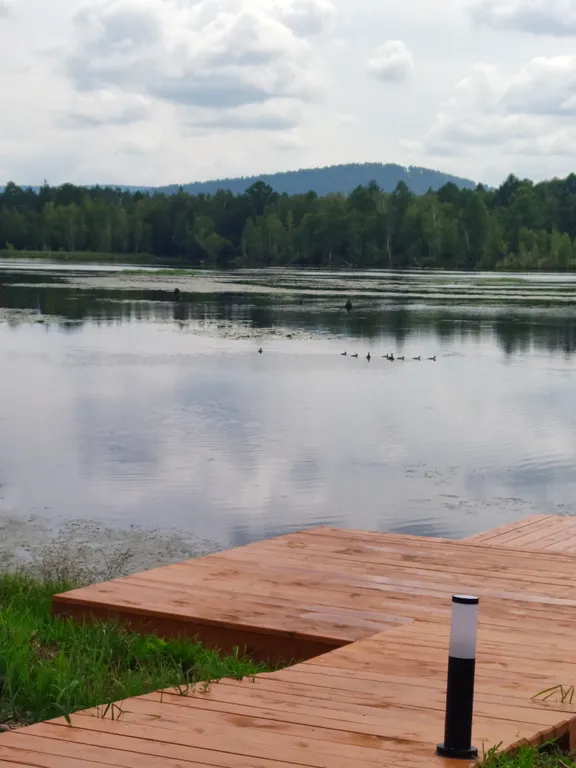 Домик на берегу озера в современном стиле со всеми удобствами