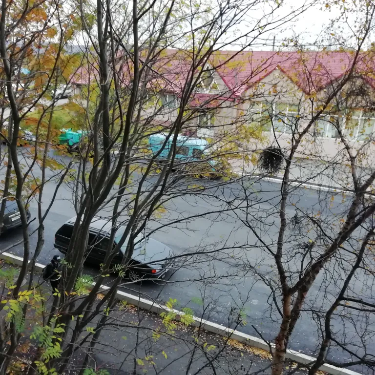 Квартира на Семеновском озере