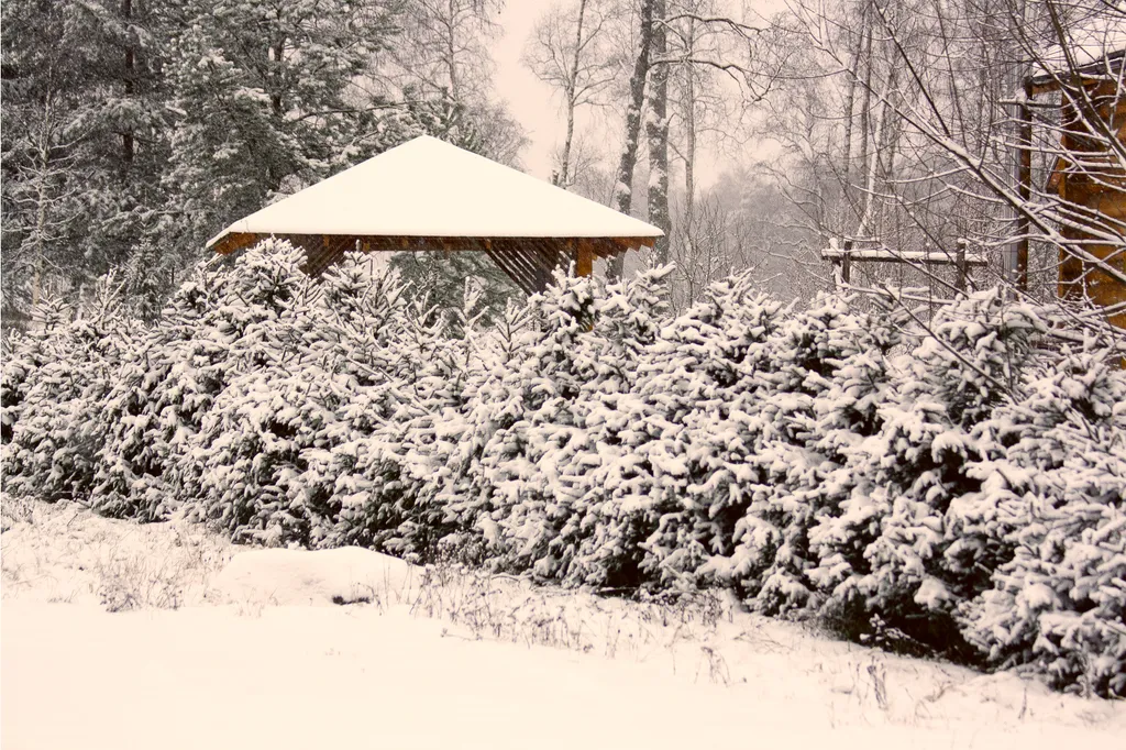 Коттедж Комфортабельный коттедж с сауной — Беличье