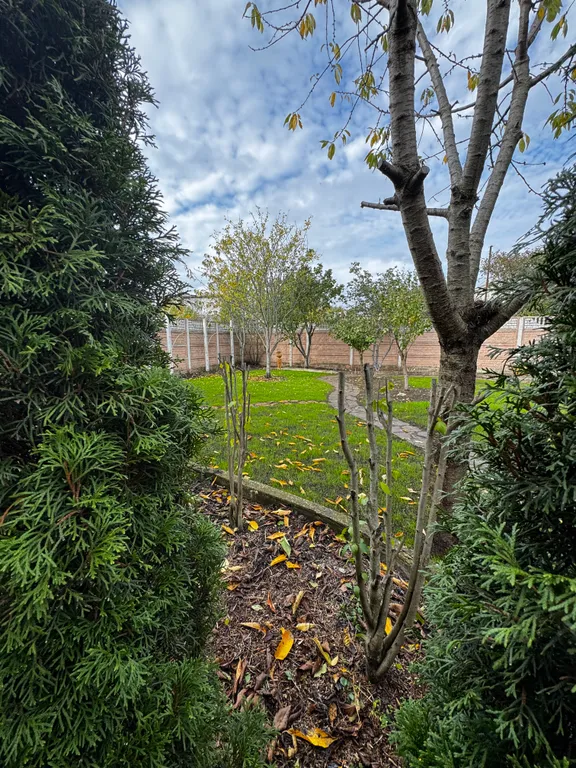 Уютный дом рядом с лесом