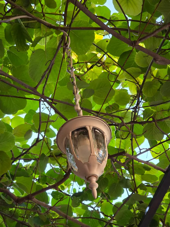 Квартира Квартира Улучшенный комфорт плюс, четырёхместный номер с террасой — Геленджик