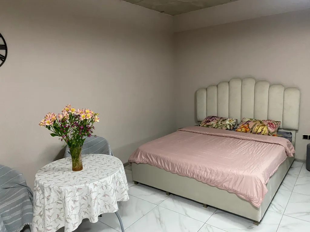 Студия у парка на 1 этаже с отдельным входом со стороны улицы