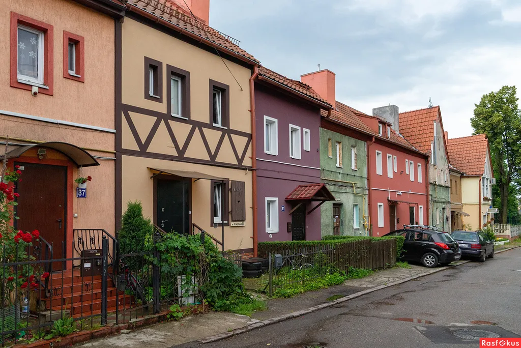 Прусский Кот  (в историческом районе Ratshof на границе с Amalienau)