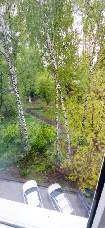 Квартира Уютная квартира в центре города — Казань