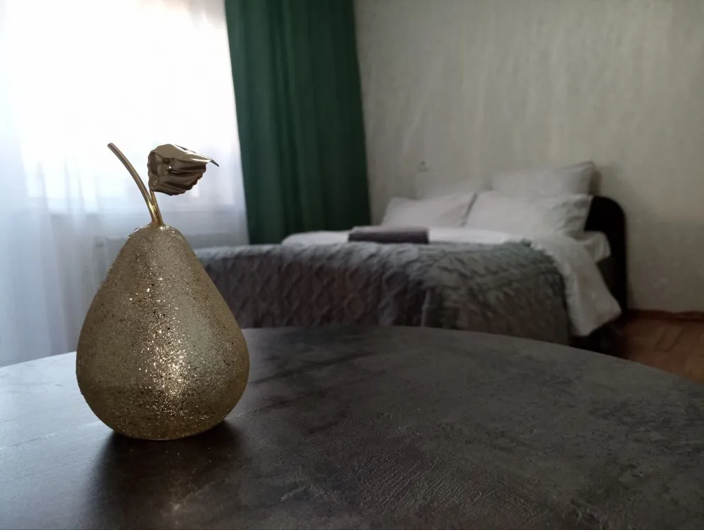 Студия-эконом на Заре