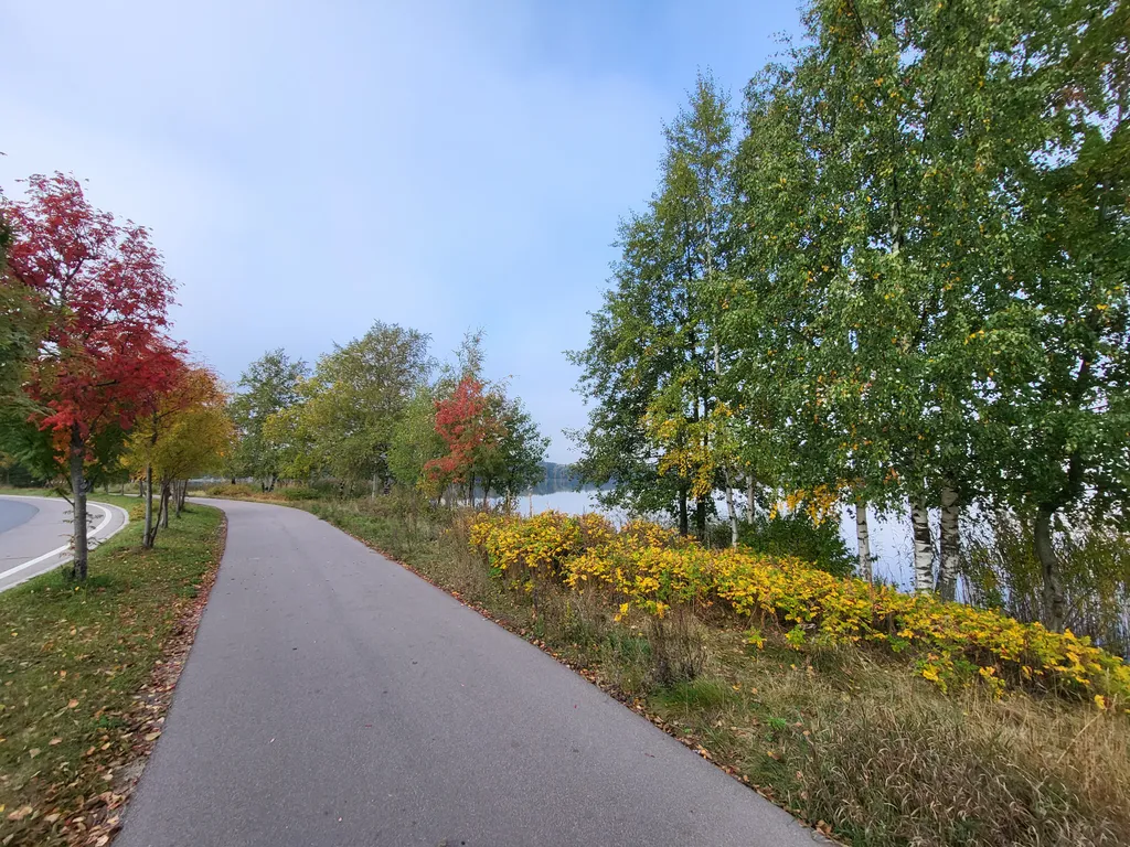 Стильный дом у озера Разлив