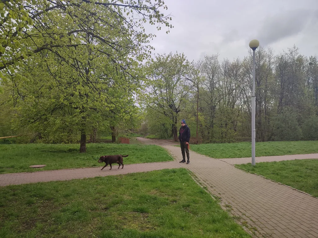 Квартира Просторная, светлая квартира — Калининград