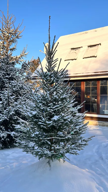 Дом шале Седельниково