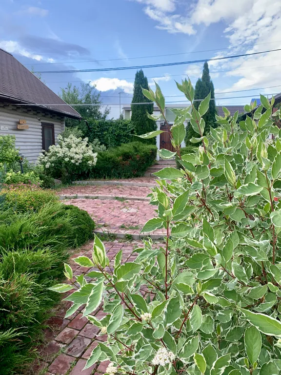 Коттедж 2-комнатный Дом — Богослово