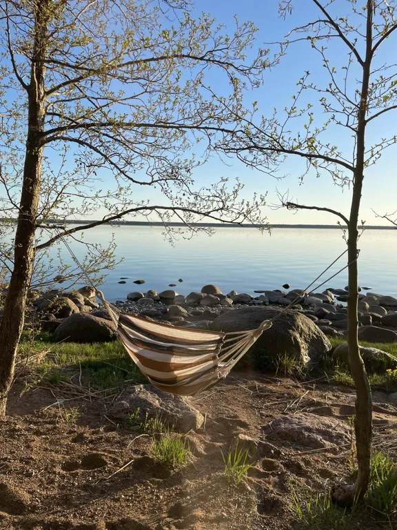 Коттедж Коттедж Уединённый лесной комплекс Финский Лес у моря — Приморск