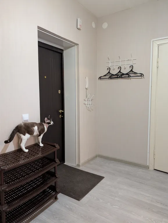 Квартира Просторная квартира в центре города с парковкой на территории — Ярославль