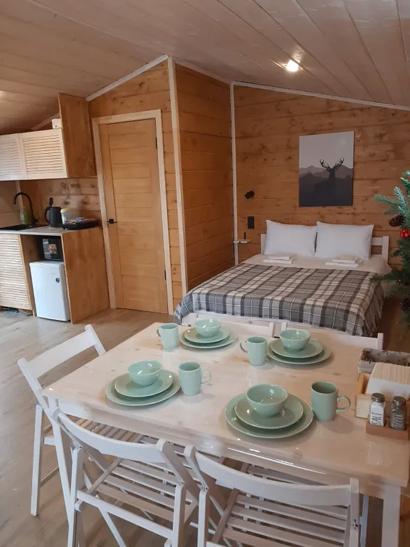 Коттедж Уютный домик с баней в экологичном районе — Тульчино