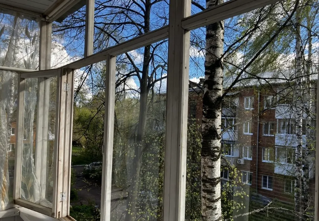 Уютная квартира рядом с сосновым бором Сила леса, парком, термами