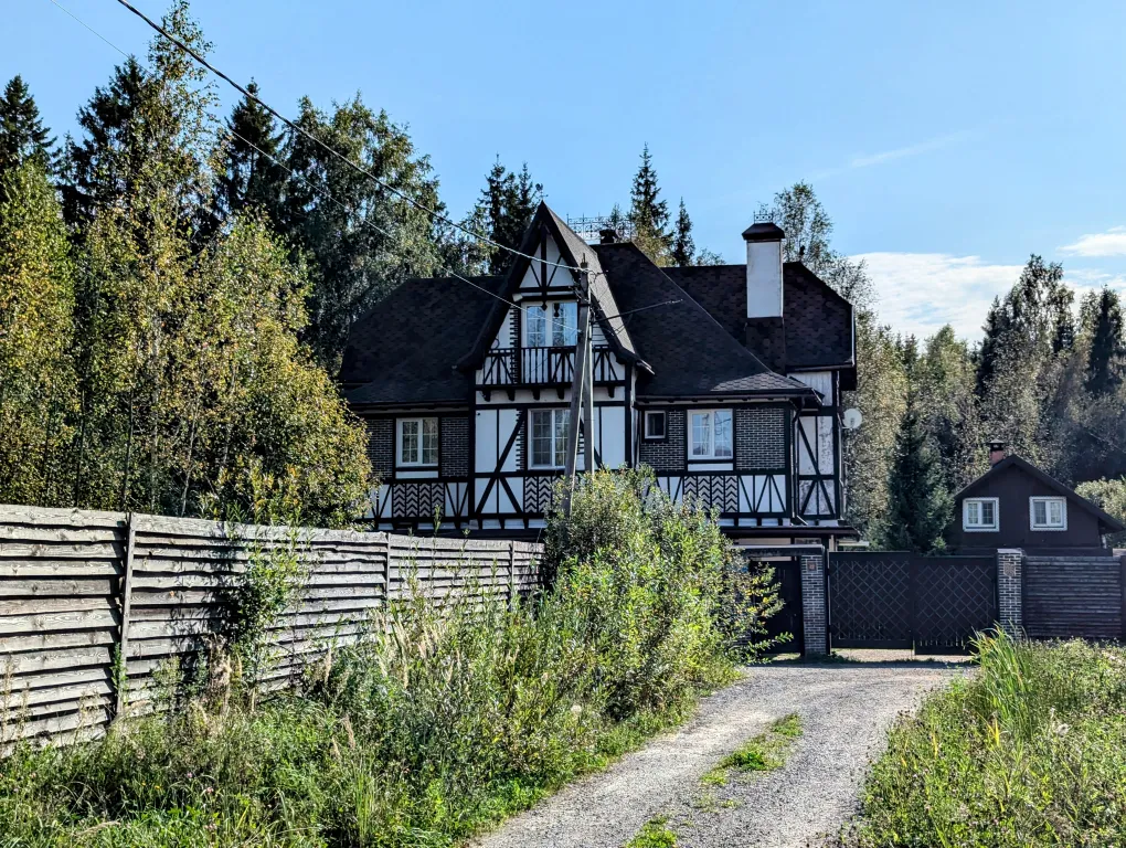 Большой красивый дом с камином в лесу