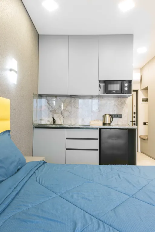 Квартира 1-комнатная Квартира — Сириус