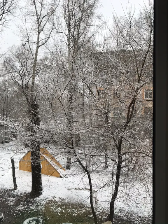 Квартира Уютная квартира в центре — Хабаровск