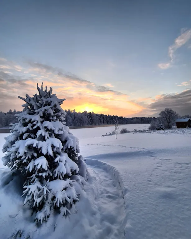 Отдых в Карелии у своего берега реки Шуя