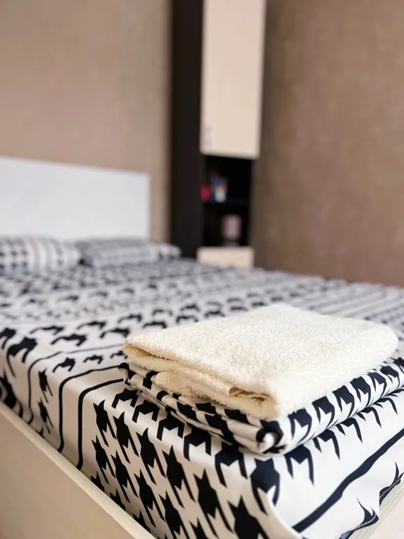 Квартира в центре