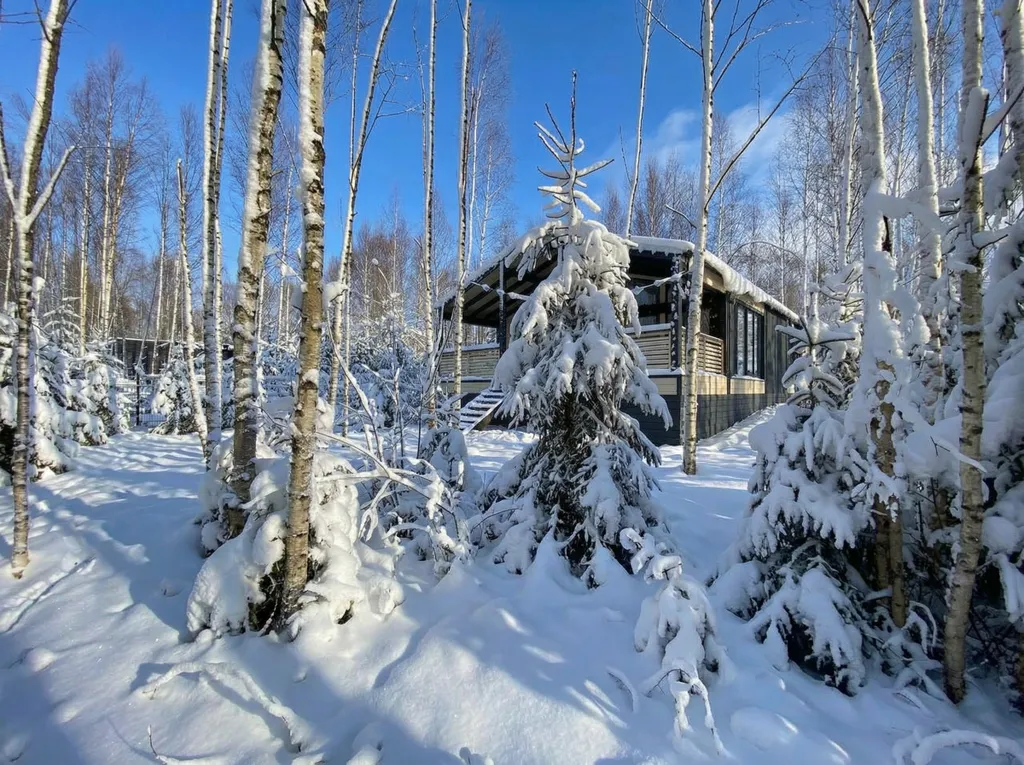 Частный коттедж №2 с баней и чаном