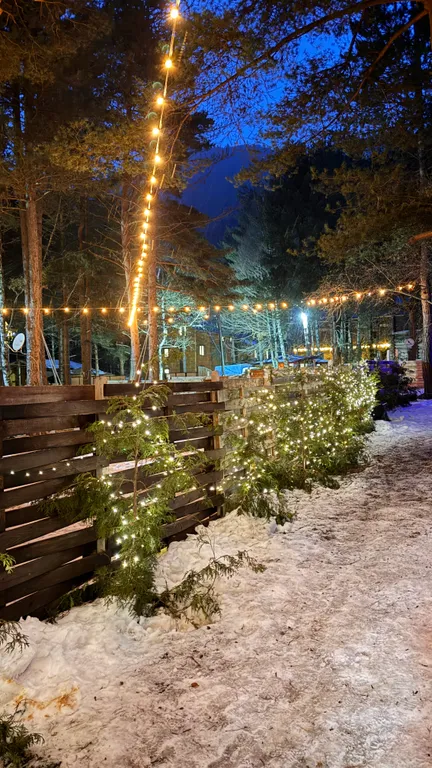 Уютный Домик в лесу!