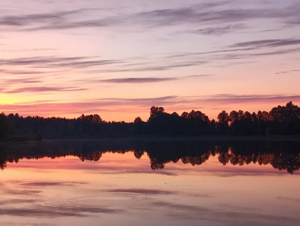Дом с видом на озеро Ричи в заказнике