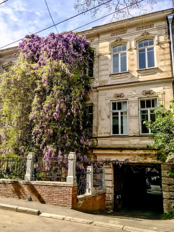 Уникальный апартамент в старинном особняке Anna Stevar