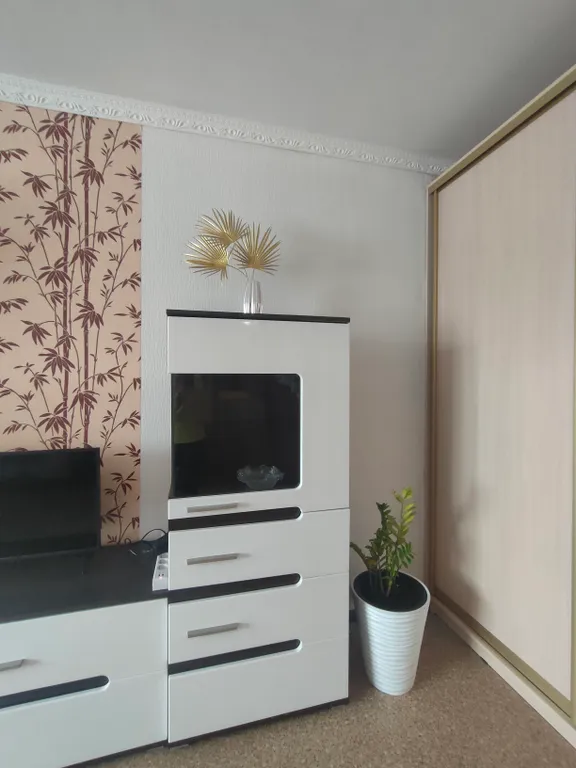 Уютная просторная квартира на берегу озера Сенеж