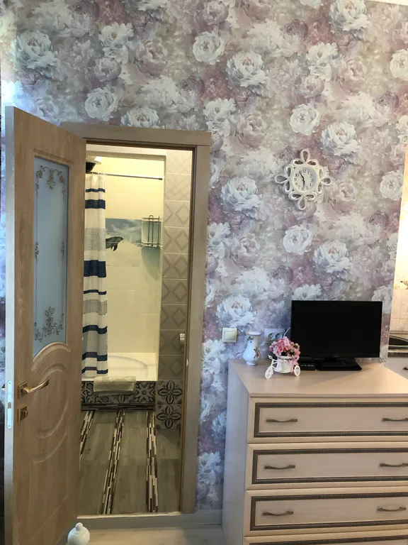 Студия Прованс в центре