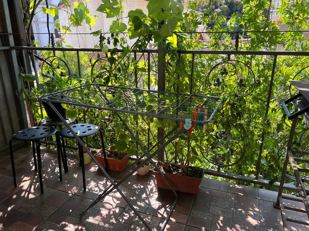 Квартира 1-комнатная Квартира — Сочи