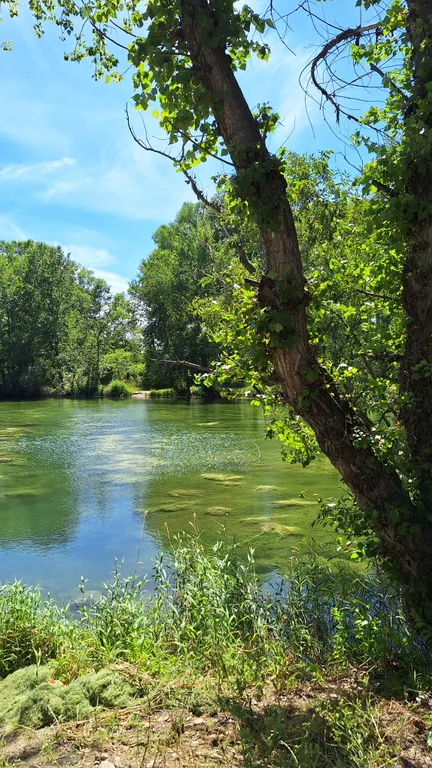 Дом у термальных источников