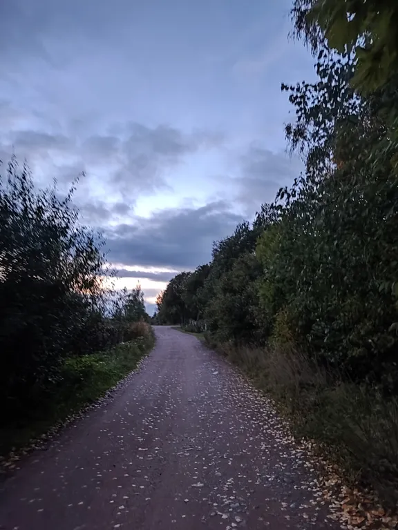 Загородный дом у озера