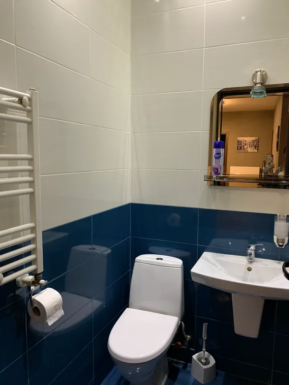 Большая квартира в старом городе