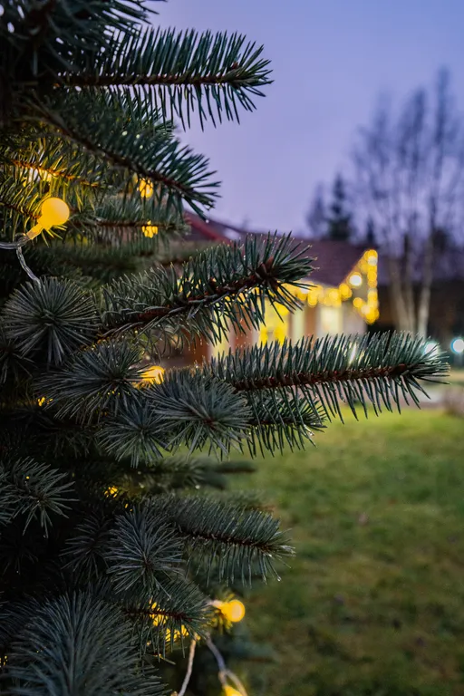 Коттедж Дом у озера — Кузьмоловский