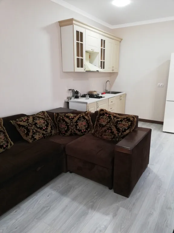 Студия в городке