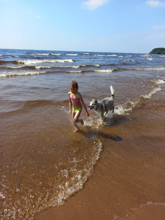 Коттедж Дом в сосновом бору Ладожского озера — Видлица