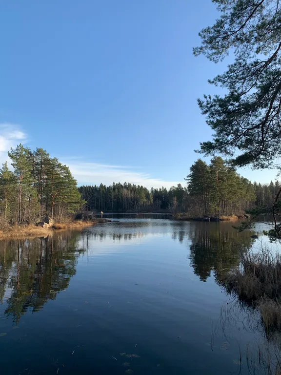 Haavejärvi - озеро мечты! Уютный дом на берегу озера в сосновом лесу