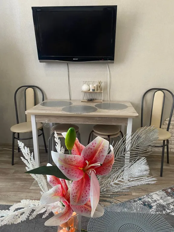 Трехкомнатная квартира у стадиона