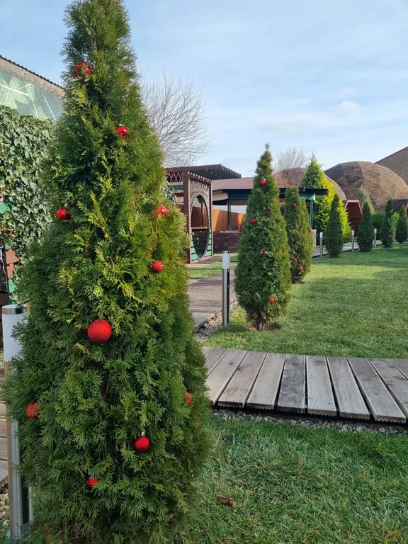 Уникальный двухкупольный дом-бунгало