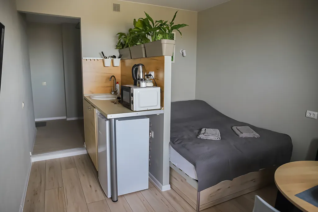 Студия в центре Факел 1