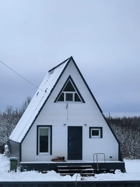 Современный треугольный эко дом