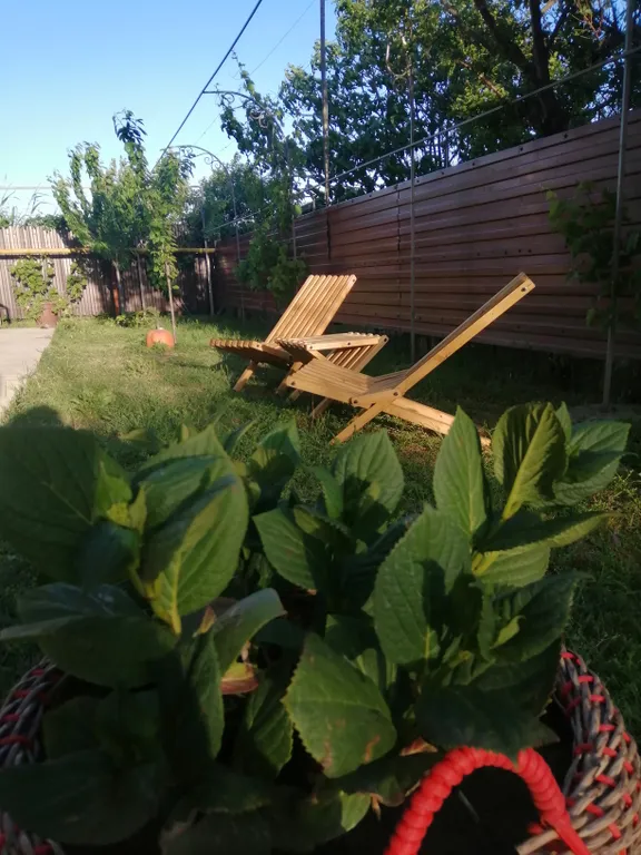 Студия с собственной террасой и кухней