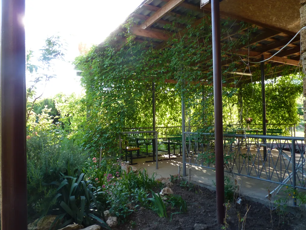 Квартира Комната — Новоотрадное