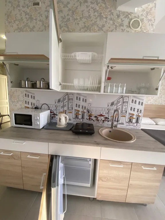 Студия на 4-х с кухней, балконом