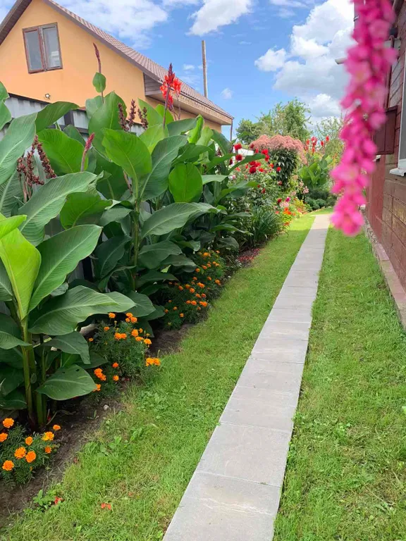 Дом в тихом районе