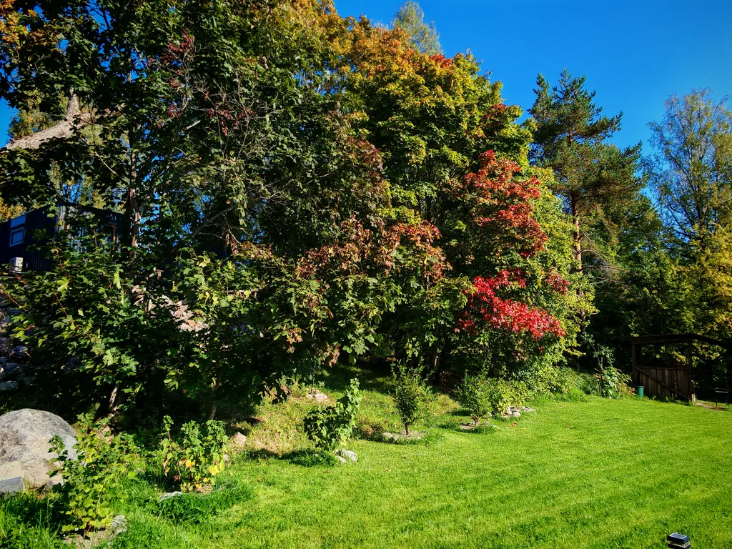 ДОМ с панорамными окнами ДЛЯ СЕМЬИ/КОМПАНИИ до 6 гостей