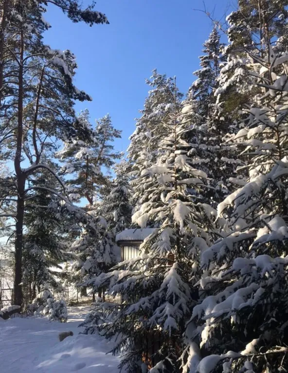 Коттедж Дом на первой линии озера Волго — Турбаза Чайка